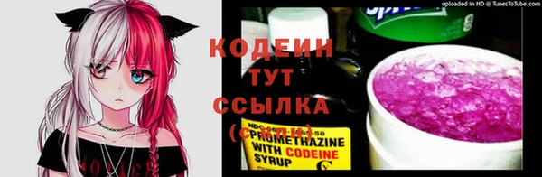 крисы Сатка