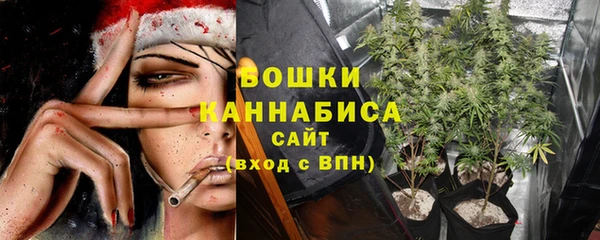 крисы Сатка