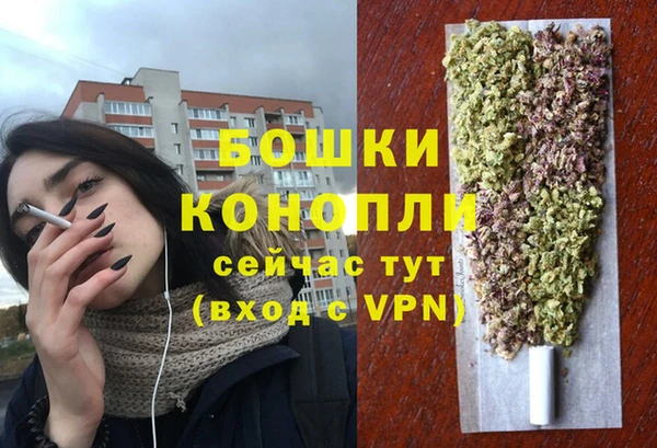 крисы Саяногорск
