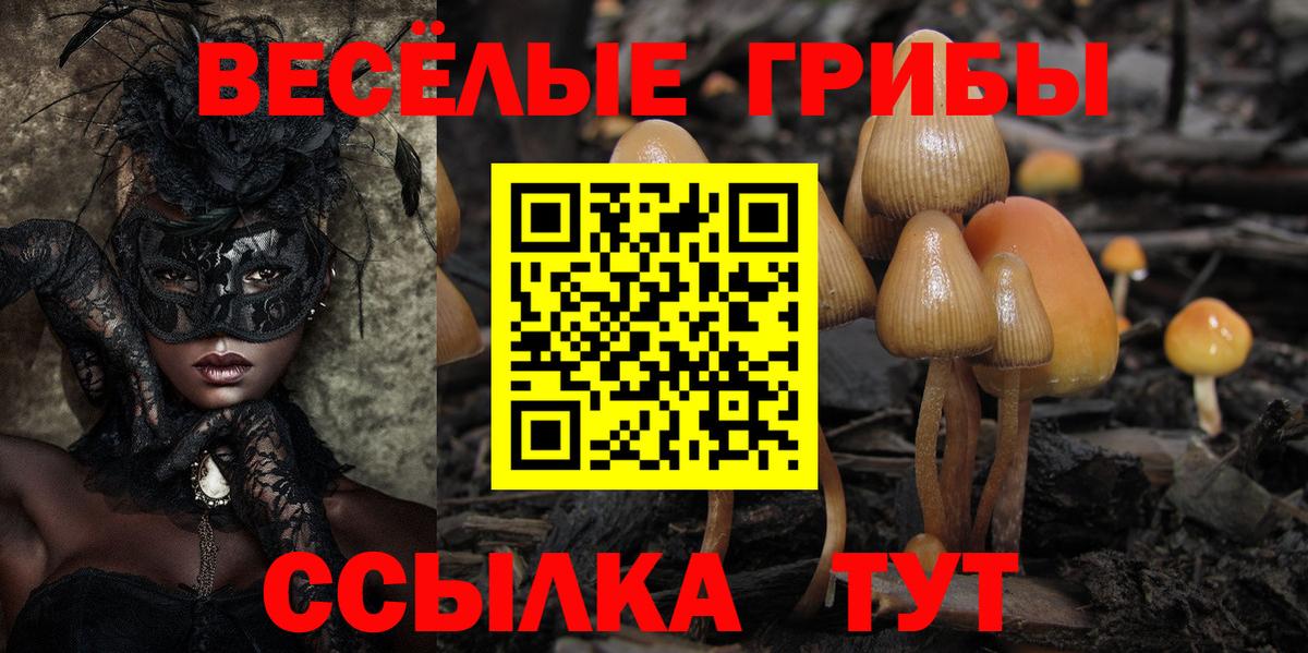 Галлюциногенные грибы мицелий  Вход с VPN  где купить наркоту  Ахтубинск 