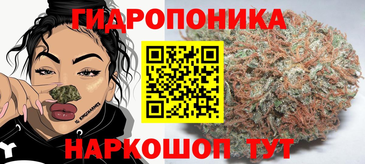 Бошки Шишки план Ахтубинск